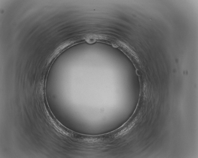 X0000083011033200702161546