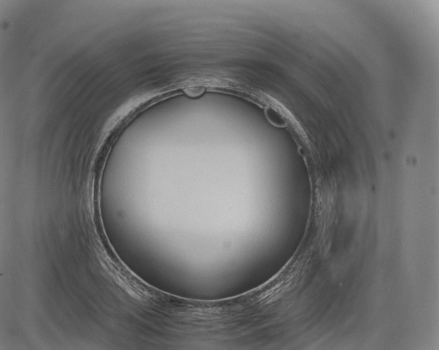 X0000083011035200702161546