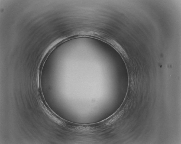 X0000083011036200702161546