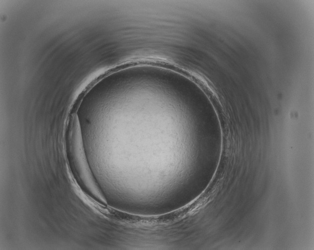 X0000083011038200702161546