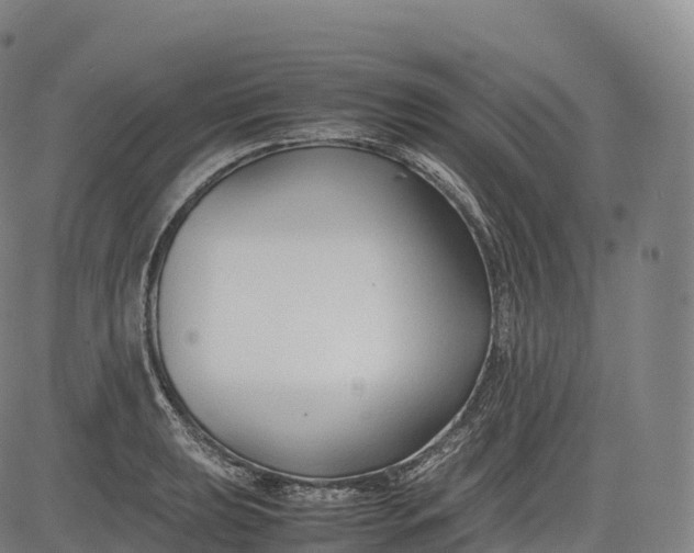 X0000083011039200702161546