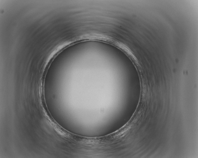 X0000083011040200702161546