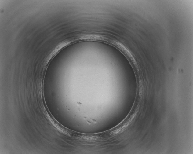 X0000083011041200702161546