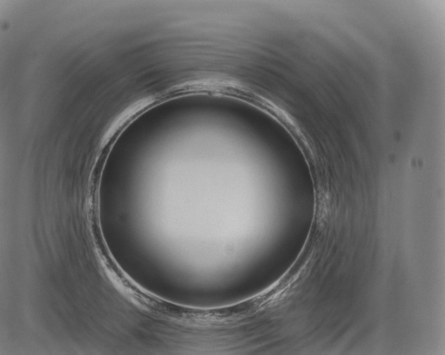 X0000083011042200702161546