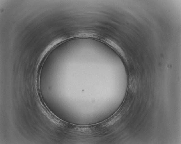 X0000083011043200702161546