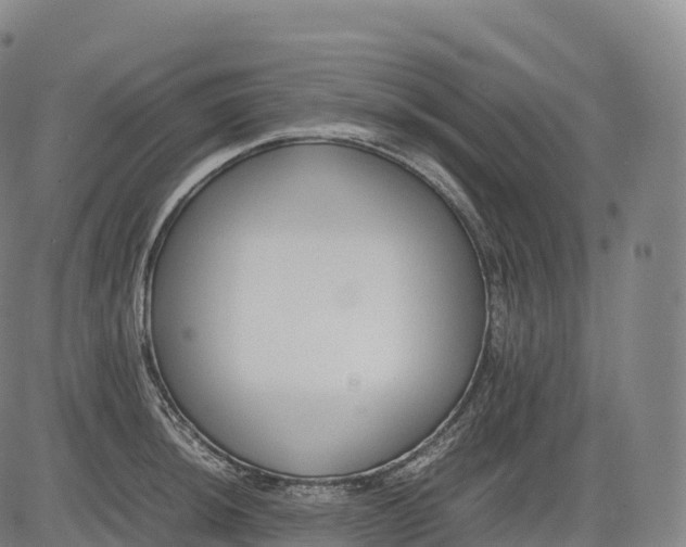 X0000083011044200702161546