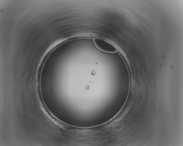 X0000083011045200702161546