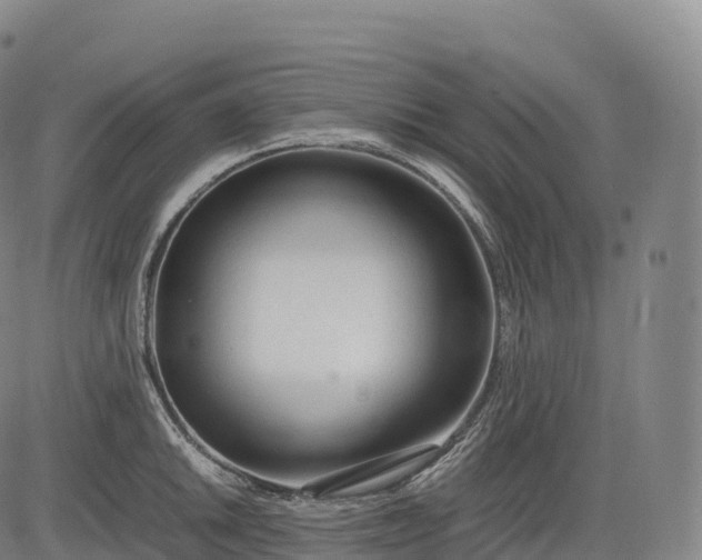 X0000083011046200702161546