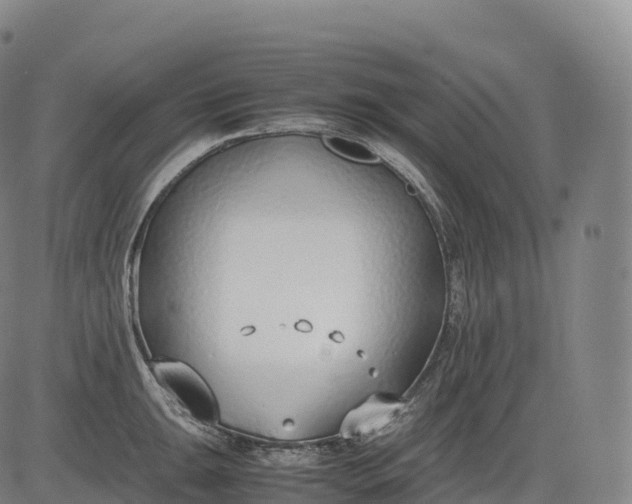 X0000083011047200702161546