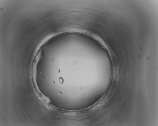 X0000083011048200702161546