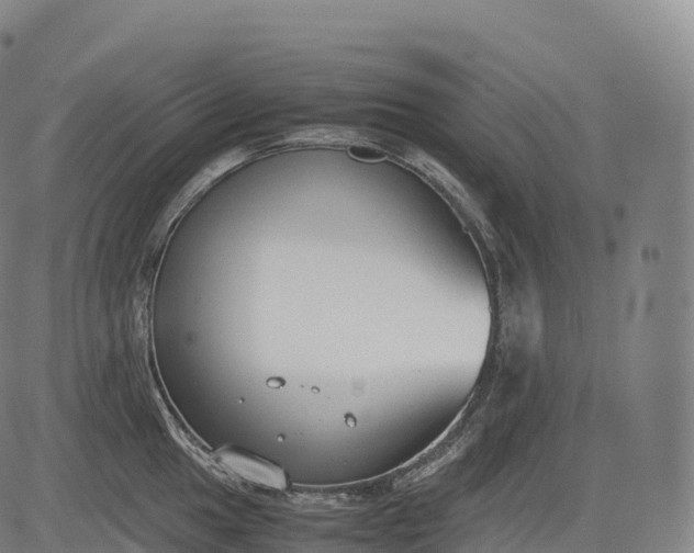 X0000083011049200702161546