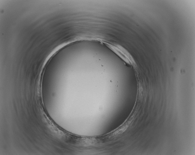 X0000083011052200702161546