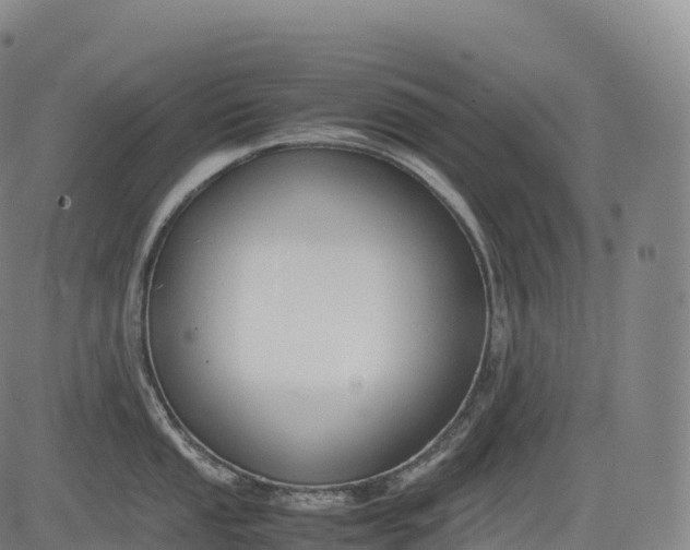 X0000083011053200702161546