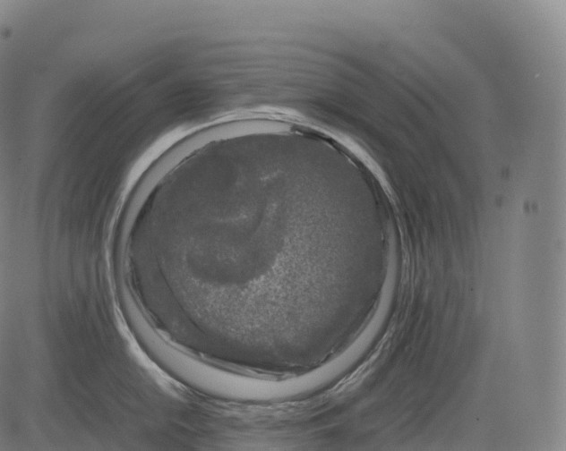 X0000083011054200702161546