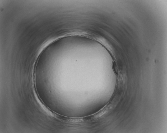 X0000083011055200702161546