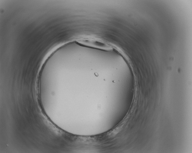 X0000083011056200702161546