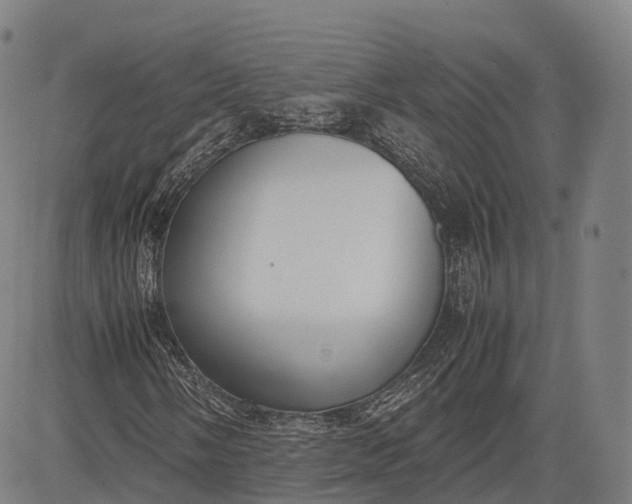 X0000083011058200702161546