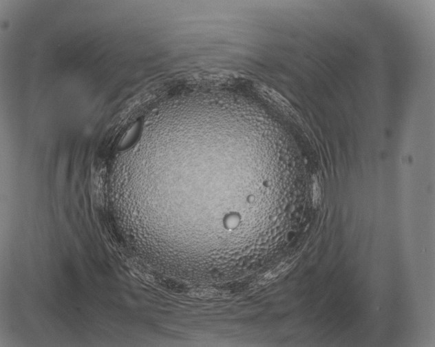 X0000083011059200702161545