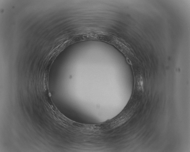 X0000083011060200702161545