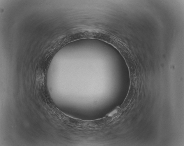 X0000083011061200702161545