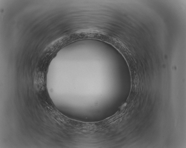 X0000083011062200702161545