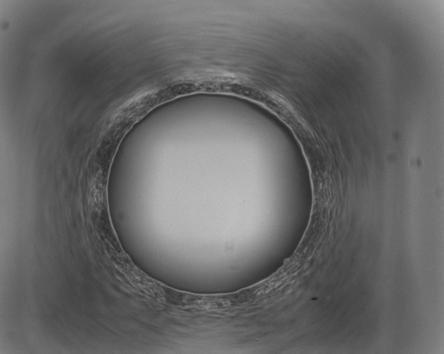 X0000083011063200702161545