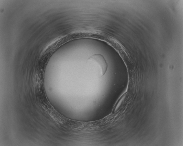 X0000083011064200702161545