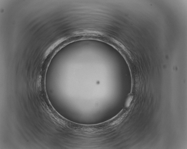 X0000083011066200702161545