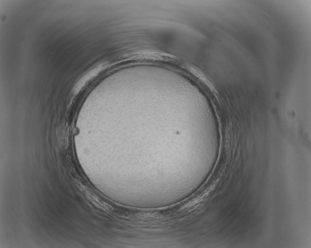 X0000083011067200702161545