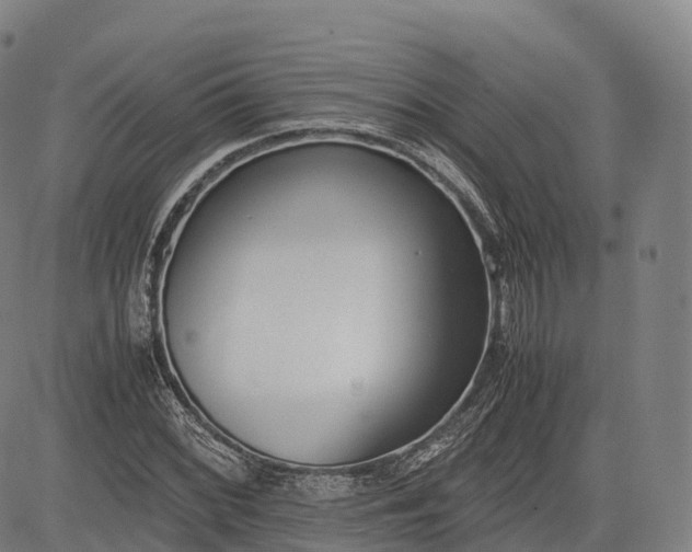 X0000083011068200702161545