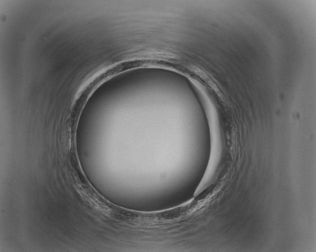 X0000083011069200702161545