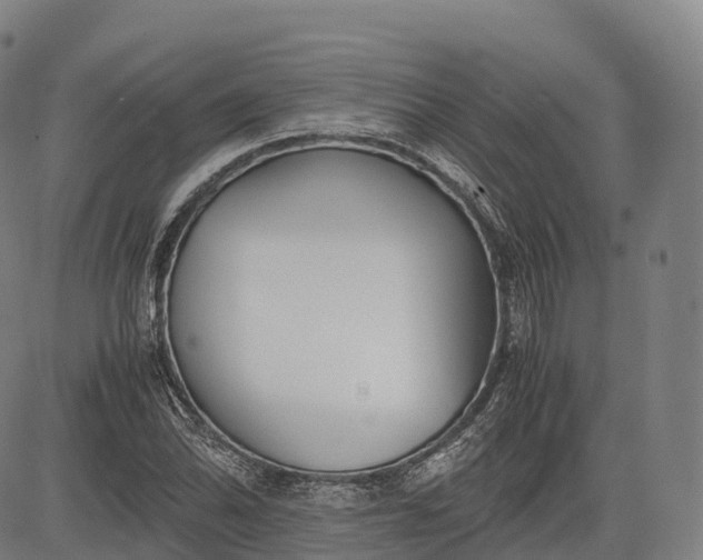 X0000083011070200702161545