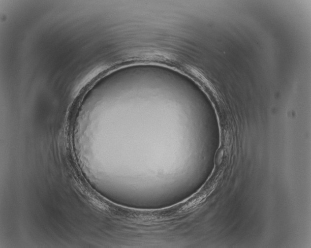 X0000083011071200702161545