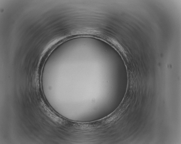 X0000083011072200702161545