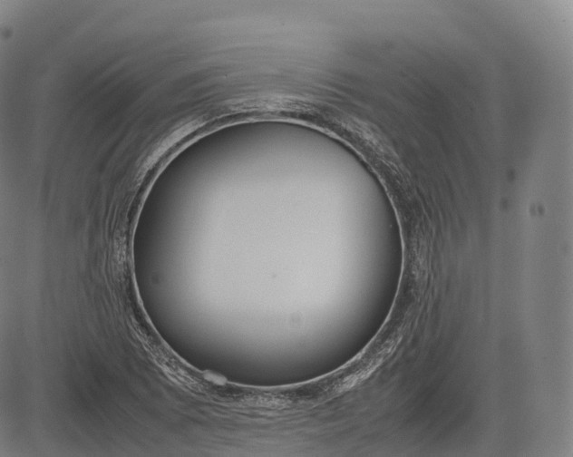 X0000083011073200702161545