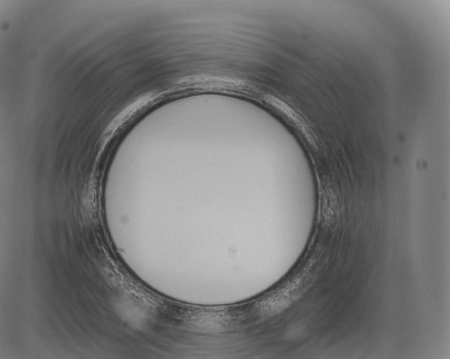 X0000083011074200702161545