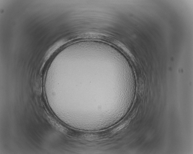 X0000083011075200702161545