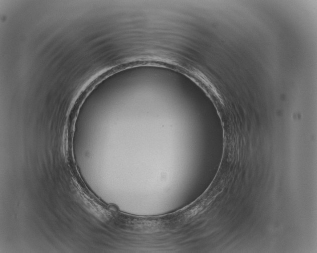 X0000083011076200702161545