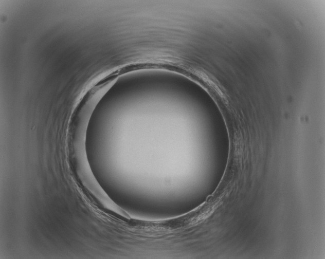 X0000083011077200702161545