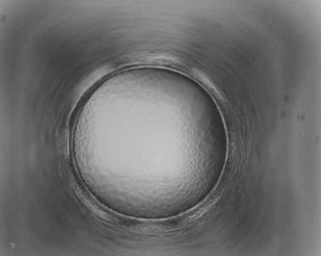 X0000083011079200702161545