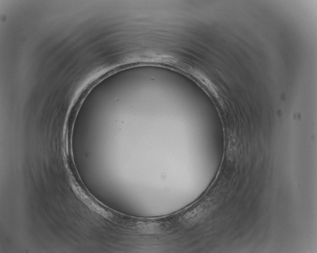 X0000083011080200702161545