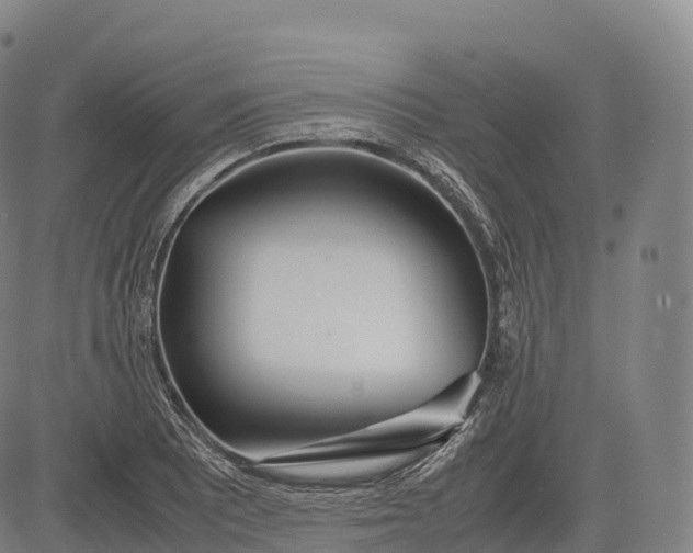 X0000083011081200702161545