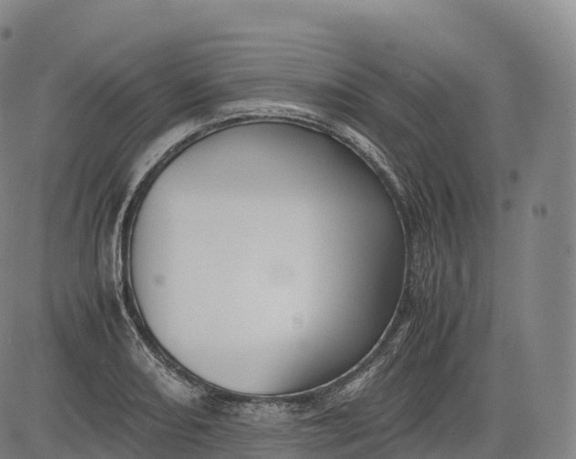 X0000083011082200702161545