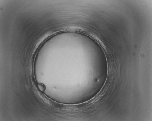 X0000083011083200702161545