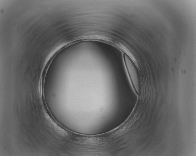 X0000083011084200702161545