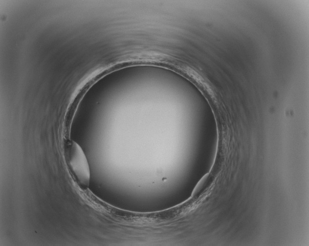 X0000083011085200702161545