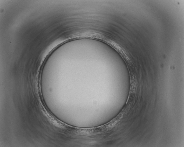 X0000083011086200702161545