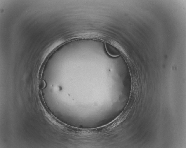 X0000083011087200702161545