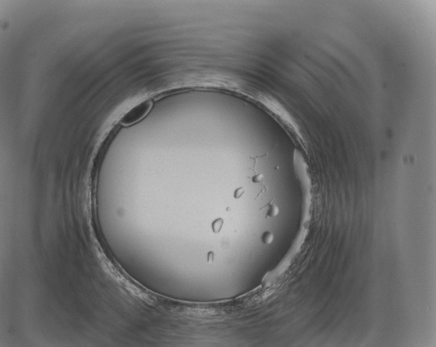 X0000083011088200702161545