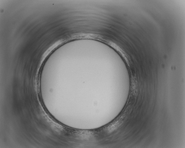 X0000083011090200702161545